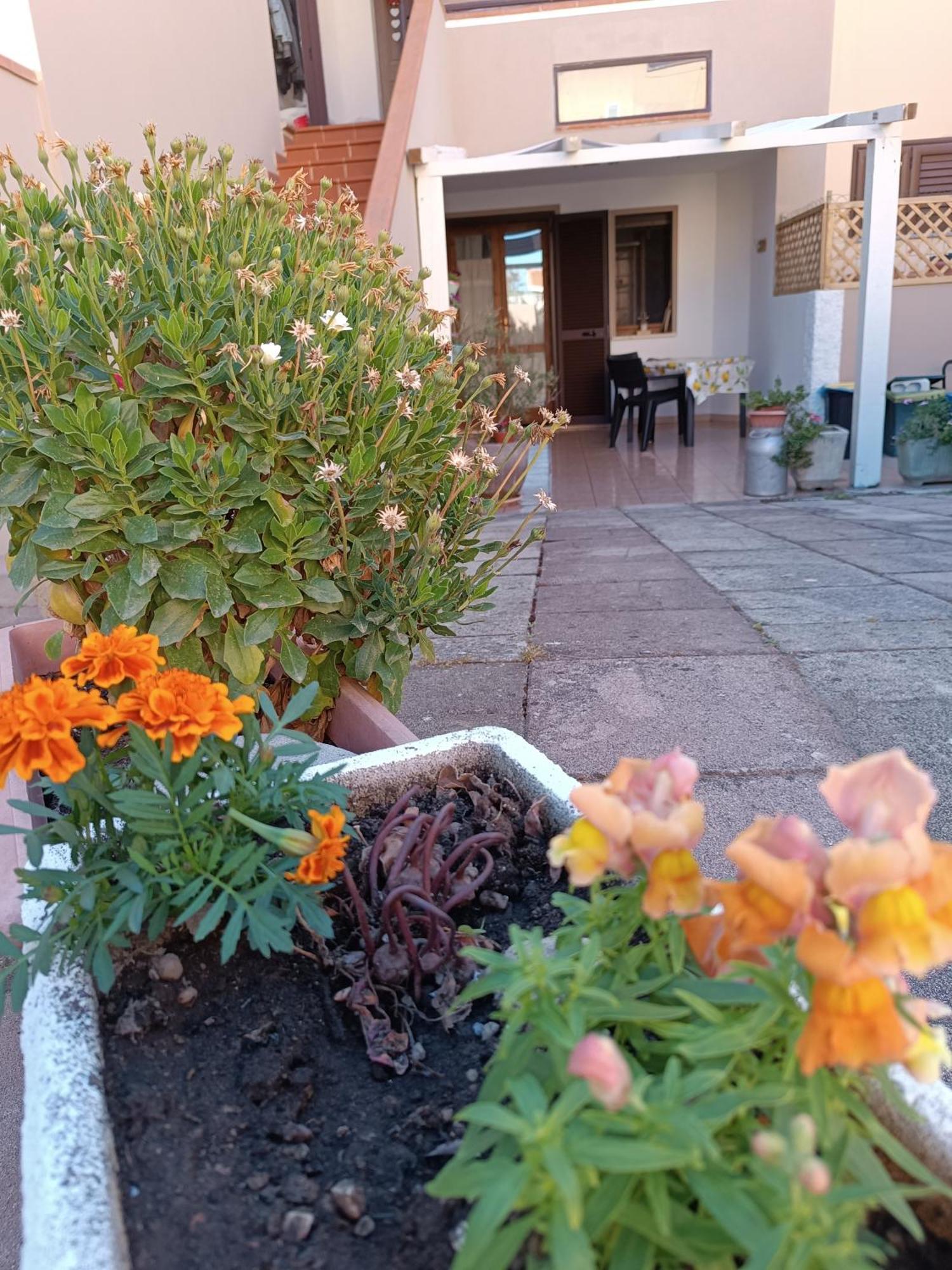 Vila Da Francesca Palmadula Exteriér fotografie